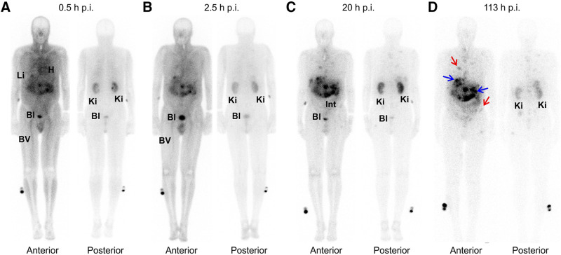 FIGURE 3.