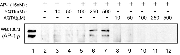 Fig. 5