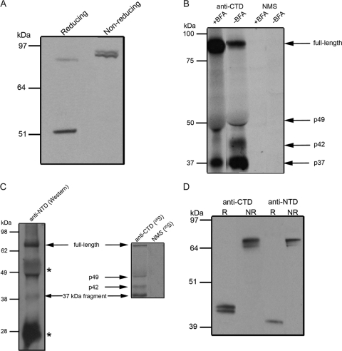 FIG. 4.