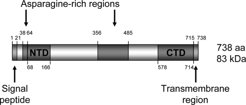 FIG. 1.