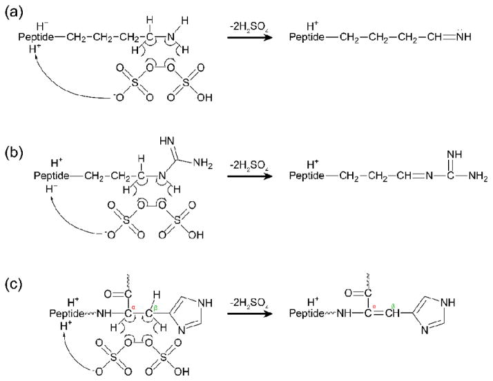 Scheme 4