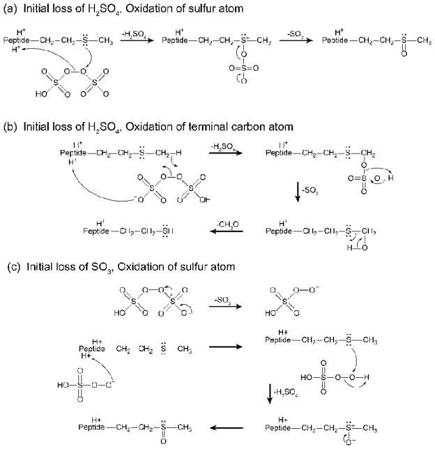 Scheme 3