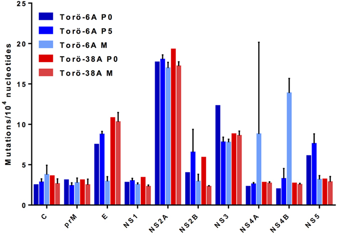 Figure 5