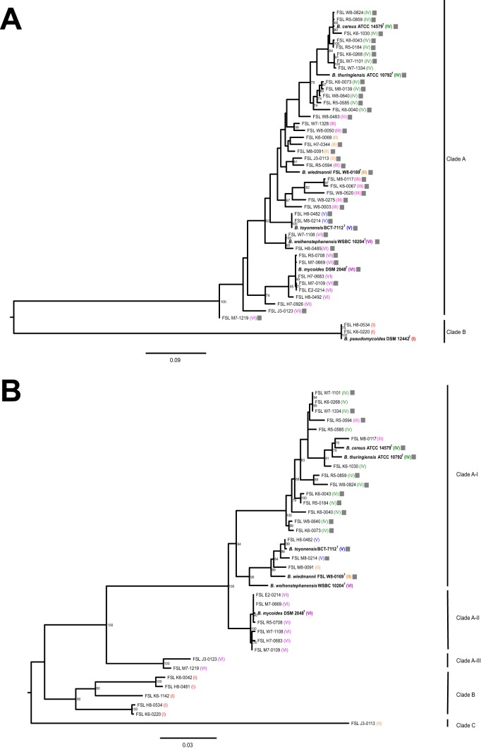 FIG 3