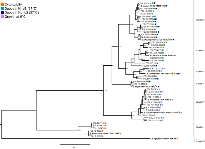 FIG 1