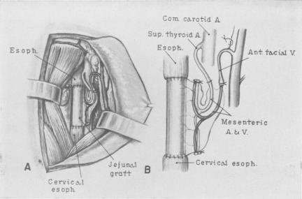 Fig. 7A.