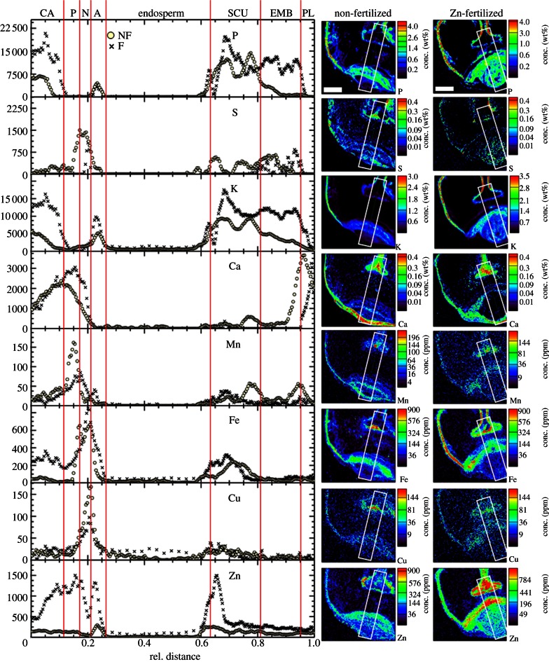 Figure 2.