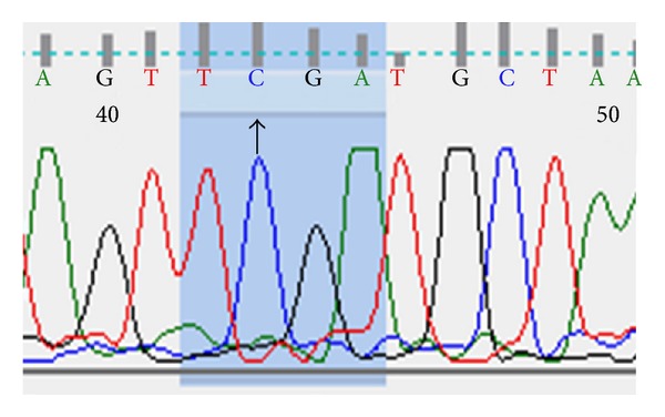 Figure 1