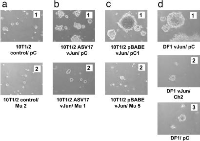 Fig. 4.