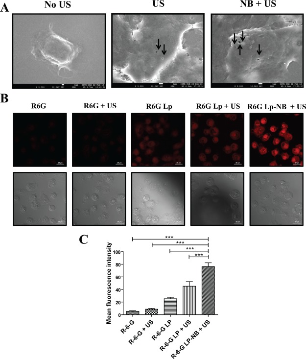 Figure 11