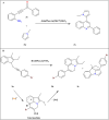 Scheme 13