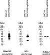 figs2