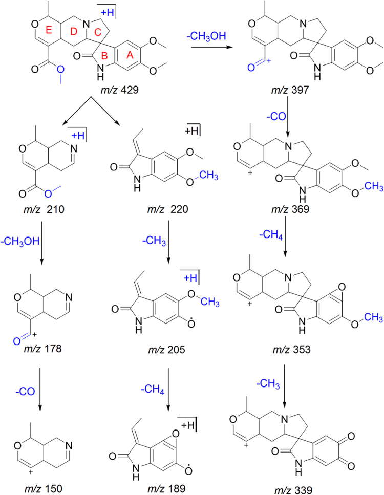 Scheme 5