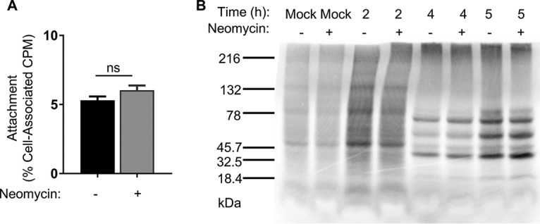 FIG 3