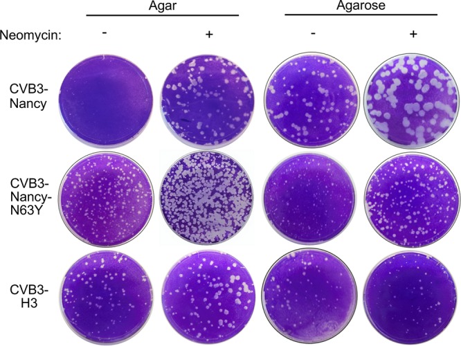 FIG 2