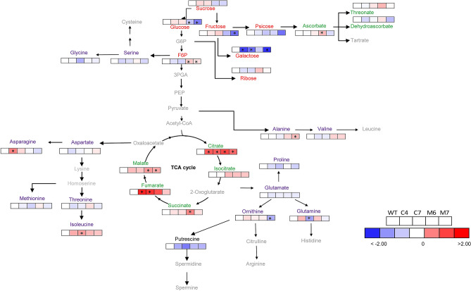 Figure 7