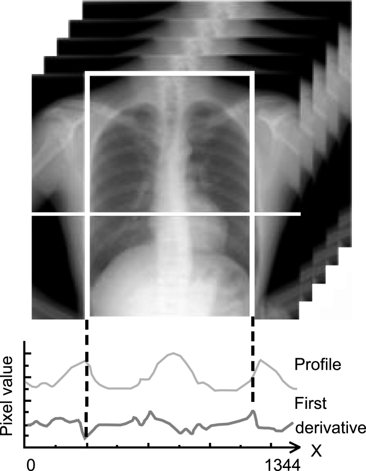 Fig 7