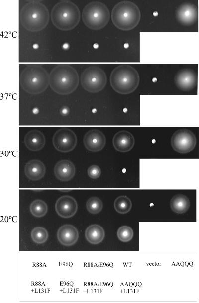 FIG. 8.