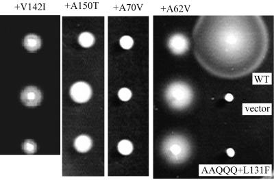 FIG. 7.