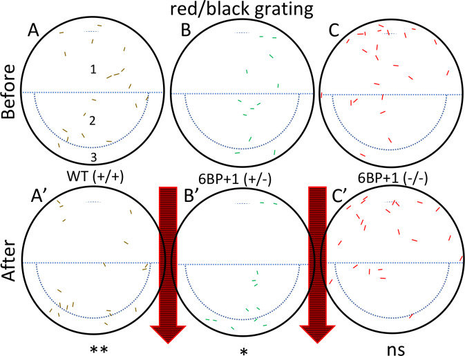 Fig 12