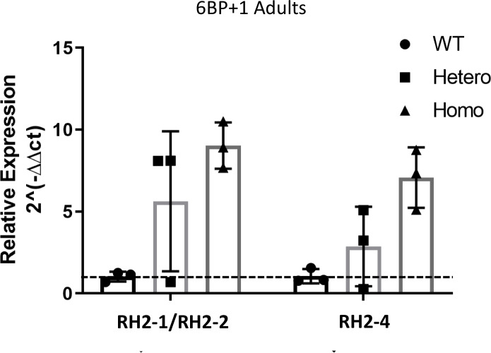 Fig 16