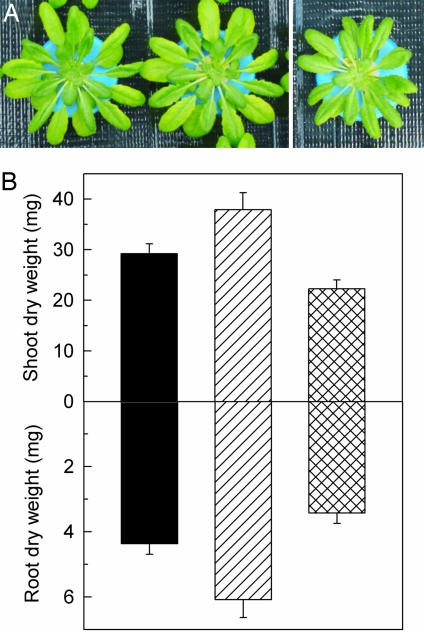 Fig. 3.