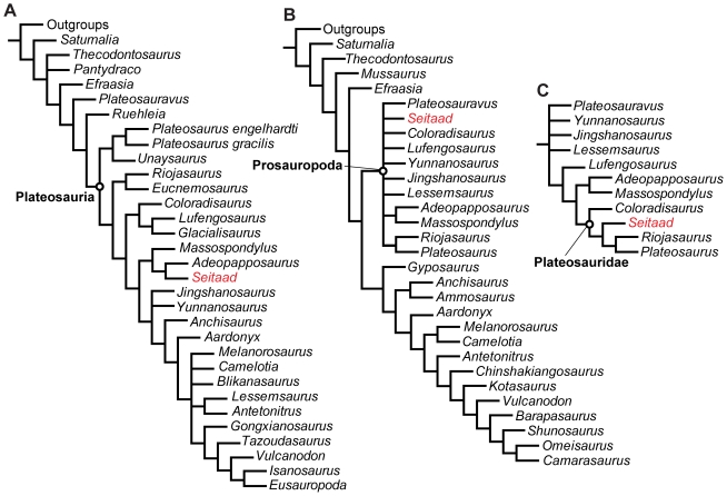 Figure 12