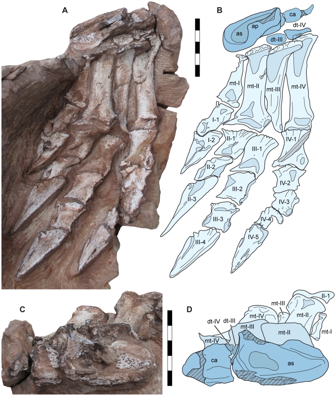 Figure 10