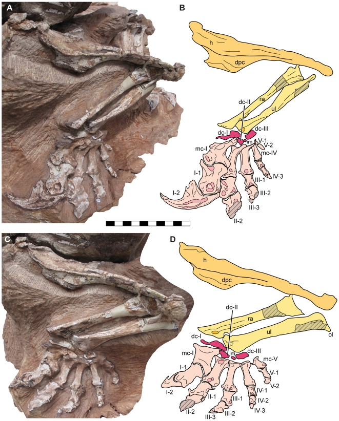 Figure 7