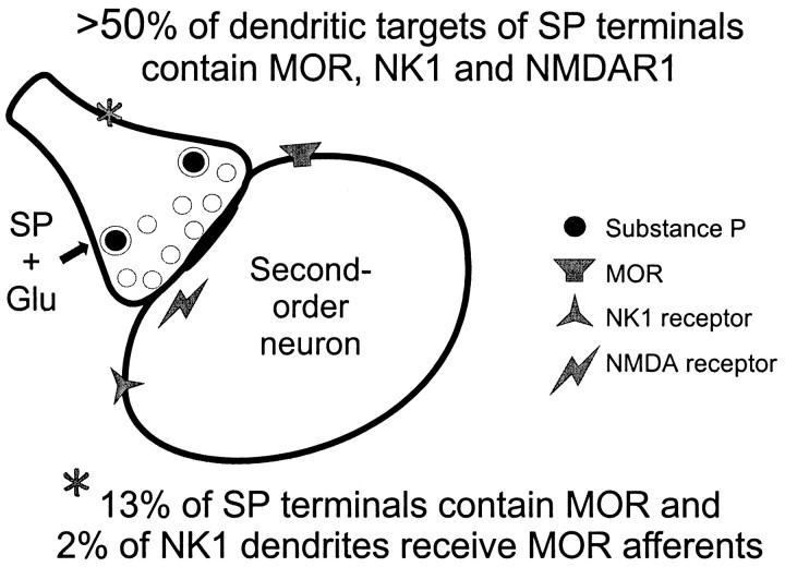 Fig. 9.