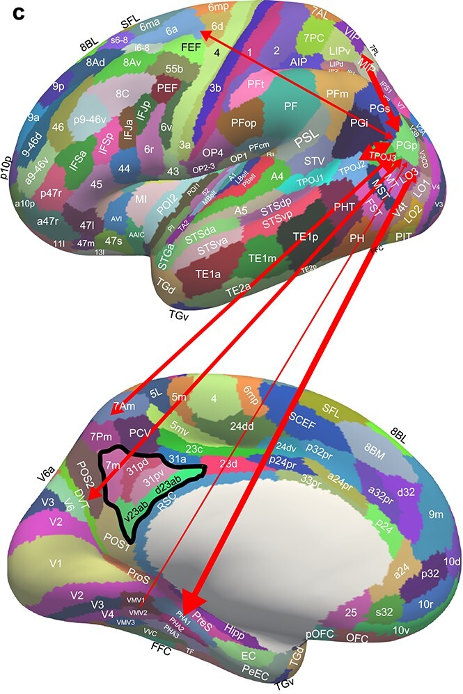 Fig. 7c