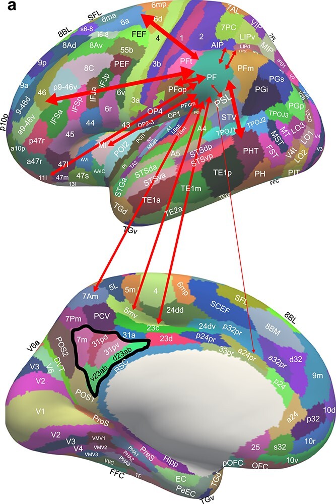 Fig. 7a