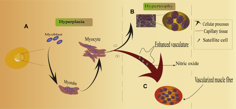 Figure 3