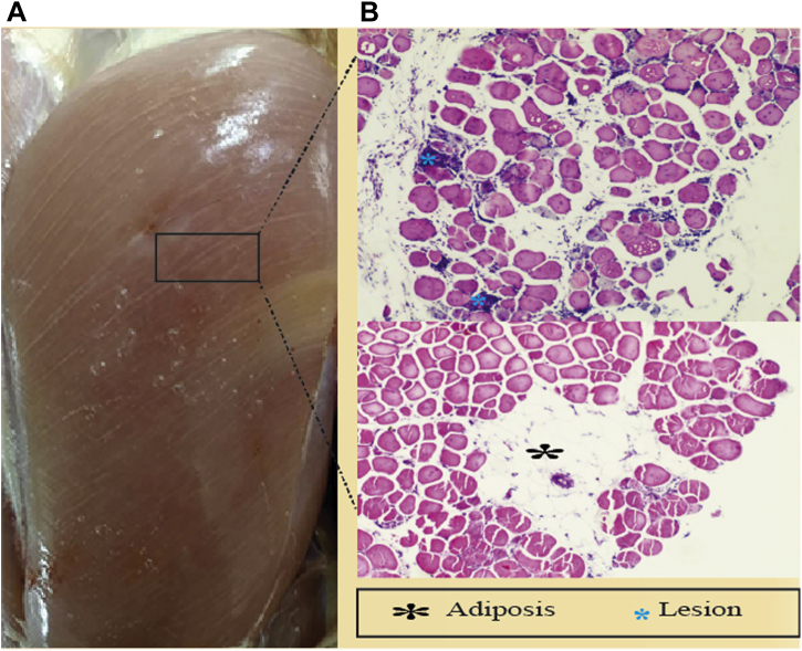 Figure 1