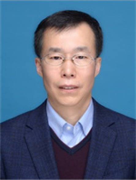 graphic file with name 43673_2023_78_Figf_HTML.jpg