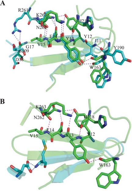 Fig 7