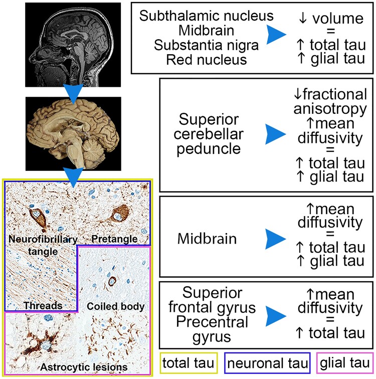 Graphical Abstract