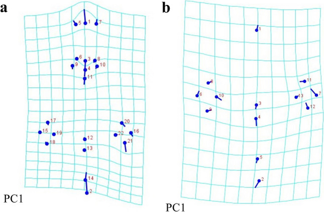 Fig. 6