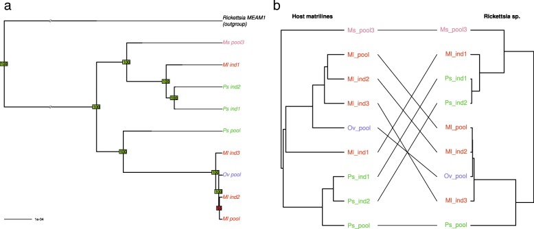 Fig. 8