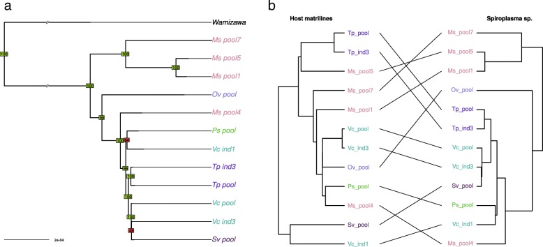 Fig. 4