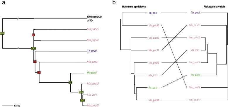 Fig. 6