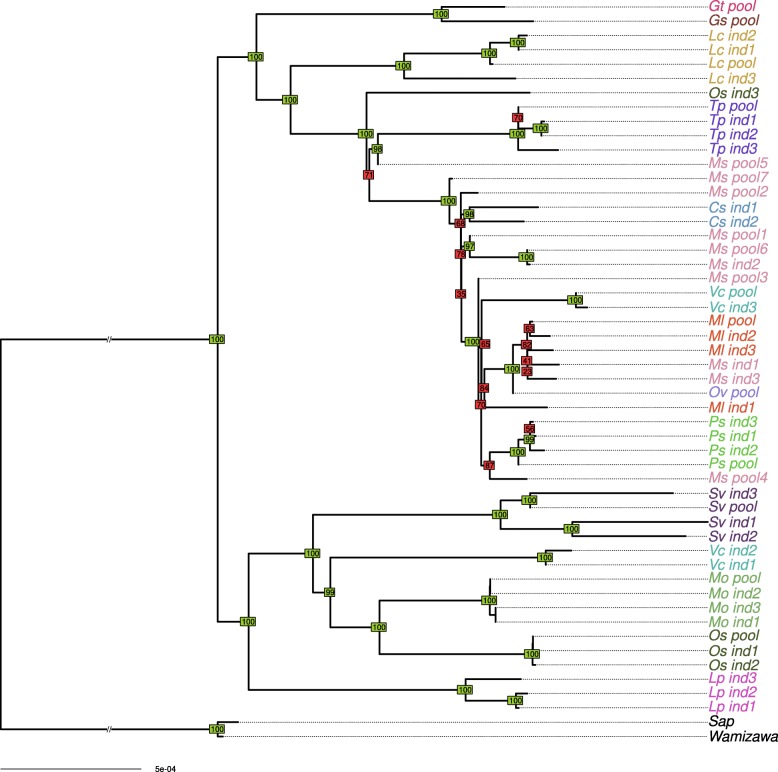 Fig. 2