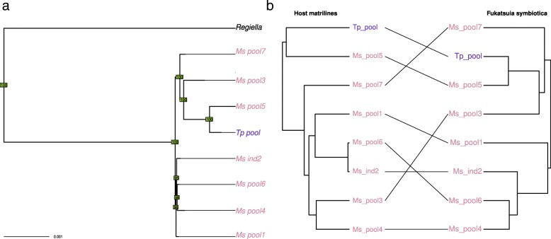 Fig. 7