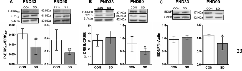 Figure 9.