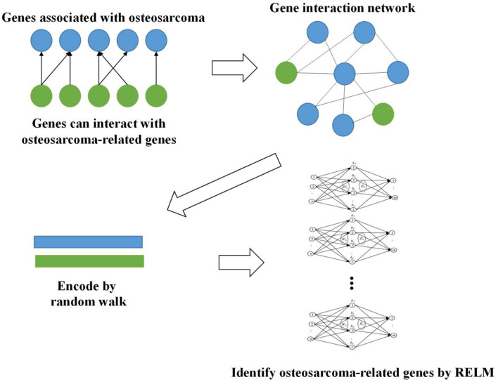 FIGURE 1