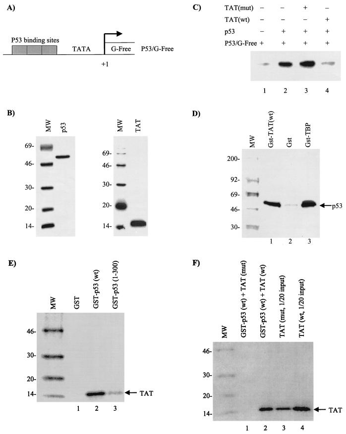 FIG. 5