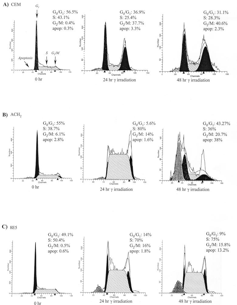 FIG. 1