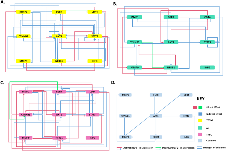 Fig. 11