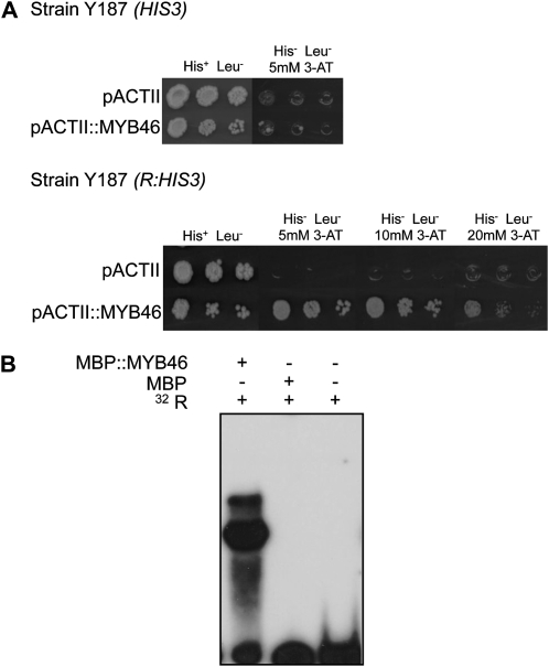 Figure 2.