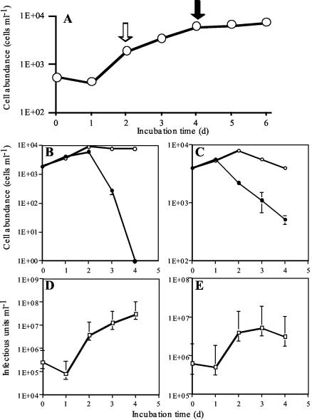 FIG. 5.